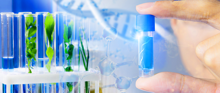 上海寶予德科學儀器有限公司官方網站